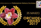premiazione orchidee